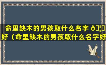 命里缺木的男孩取什么名字 🦆 好（命里缺木的男孩取什么名字好孩子命里缺木,属鸡）